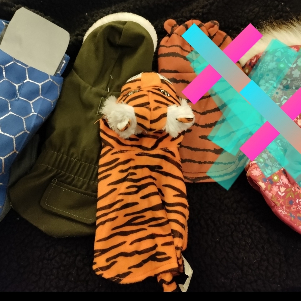 3 puppy coats/hoodies